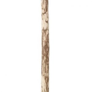 Holzpfosten Hasel rund, naturbelassen, gespitzt Ø 6-10  x  180
